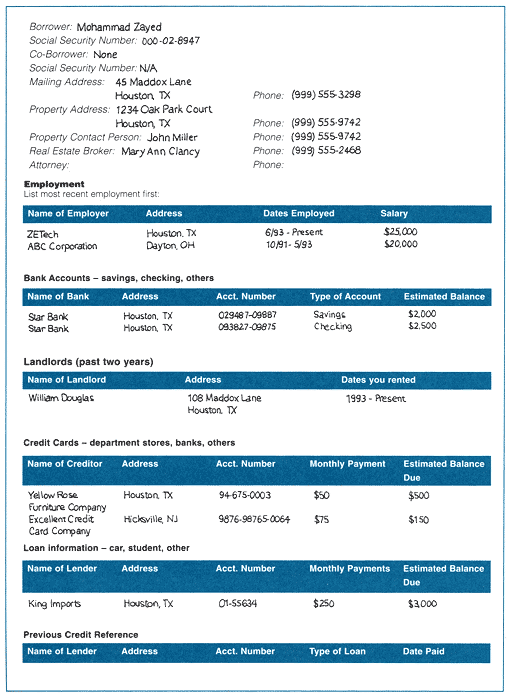 Mohammad's loan application worksheet