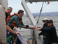 The transfer of equipment onto the R/V New Horizon from the R/V Shana Rae