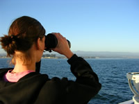 Amanda looking at birds through binoculars