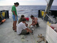 Preparing the carboy suspension line on the back deck