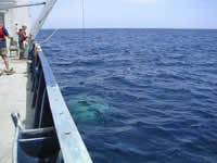 The CTD just below the surface