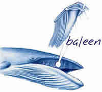 baleen